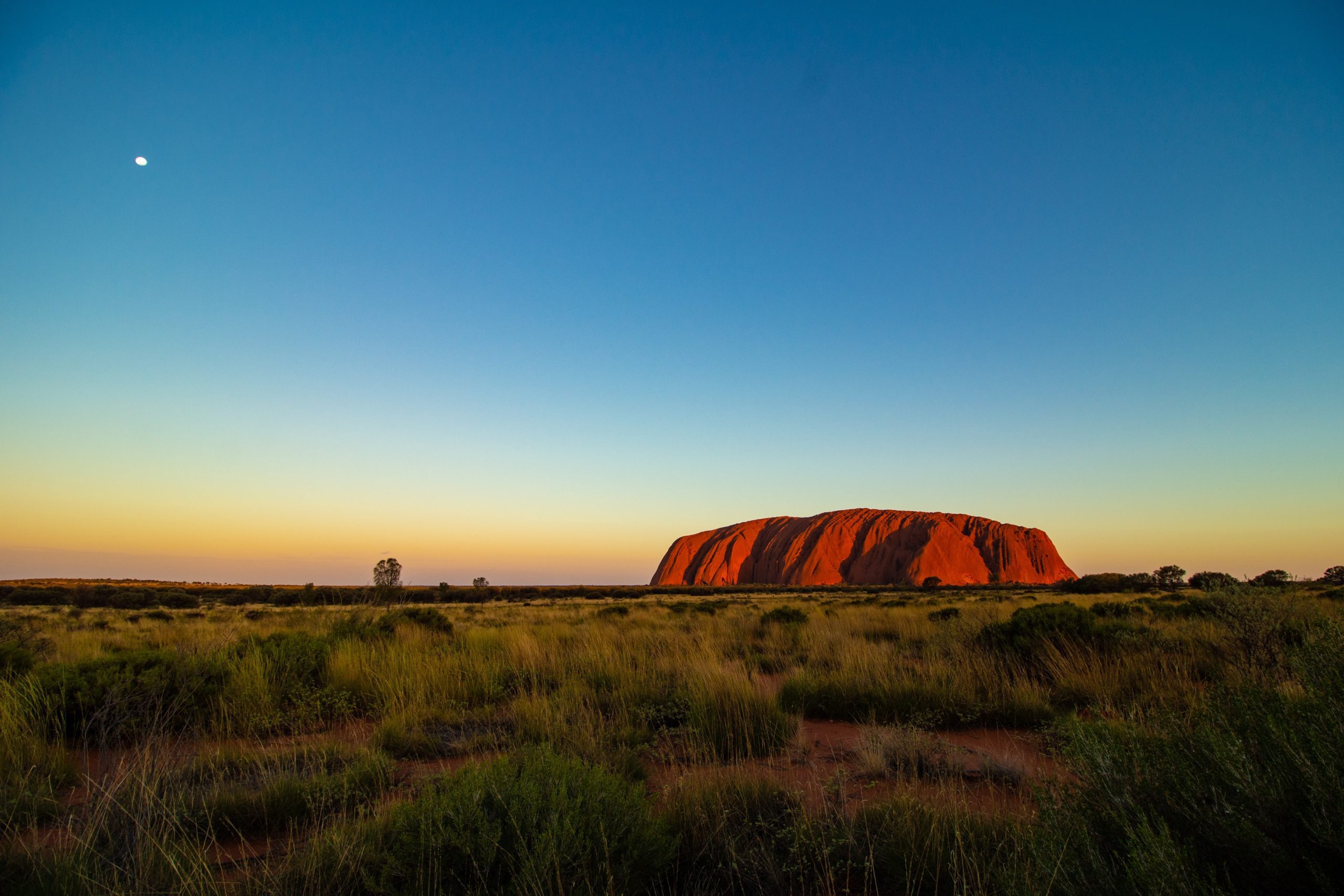 Uluru decorative article feature image